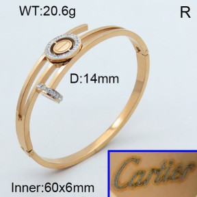 Stainless Steel Bangle PZ0135560ahpv-008