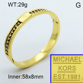 Stainless Steel Bangle PZ0135532vhov-008