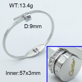 Stainless Steel Bangle PZ0135555ahlv-008