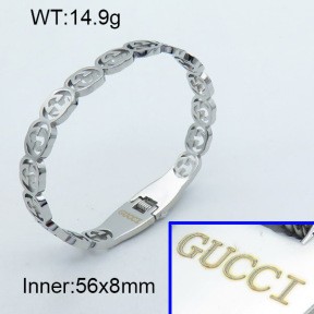 Stainless Steel Bangle PZ0135435ahlv-008