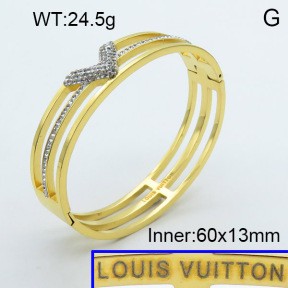 Stainless Steel Bangle PZ0135487aivb-008