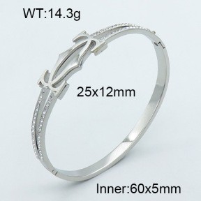 Stainless Steel Bangle PZ0135537vhov-008