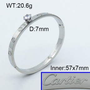 Stainless Steel Bangle PZ0135546ahjb-008