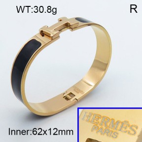 Stainless Steel Bangle PZ0135462aivb-008