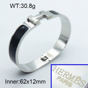 Stainless Steel Bangle PZ0135463vhov-008