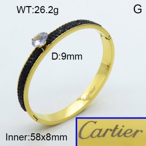 Stainless Steel Bangle PZ0135550ahpv-008