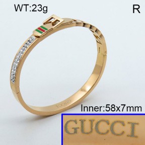 Stainless Steel Bangle PZ0135440aivb-008