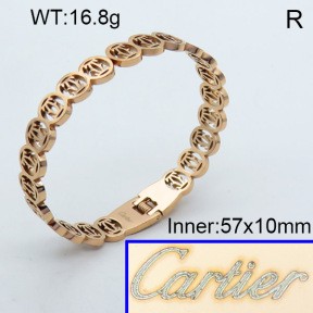 Stainless Steel Bangle PZ0135563vhnv-008