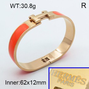 Stainless Steel Bangle PZ0135459aivb-008