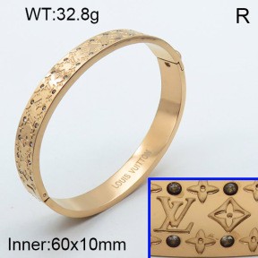 Stainless Steel Bangle PZ0135511aivb-008