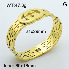 Stainless Steel Bangle PZ0135436aija-008