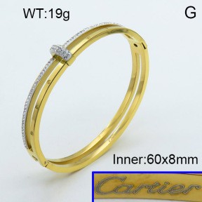 Stainless Steel Bangle PZ0135538vhov-008