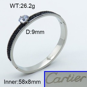 Stainless Steel Bangle PZ0135552vhnv-008