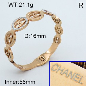 Stainless Steel Bangle PZ0135414vhov-008