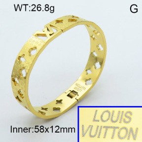 Stainless Steel Bangle PZ0135498vhov-008