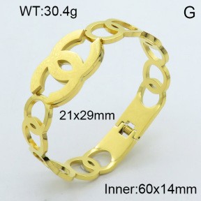 Stainless Steel Bangle PZ0135416ahpv-008