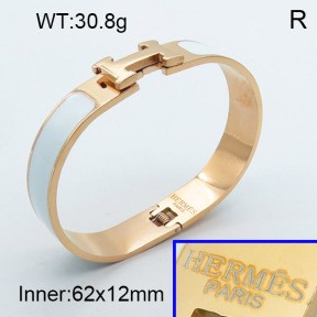 Stainless Steel Bangle PZ0135456aivb-008