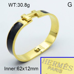 Stainless Steel Bangle PZ0135461aivb-008