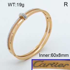 Stainless Steel Bangle PZ0135539vhov-008