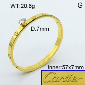 Stainless Steel Bangle PZ0135544ahlv-008