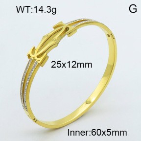 Stainless Steel Bangle PZ0135535aivb-008