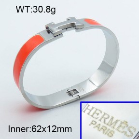 Stainless Steel Bangle PZ0135460vhov-008