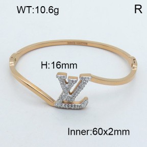 Stainless Steel Bangle PZ0135493vhov-008