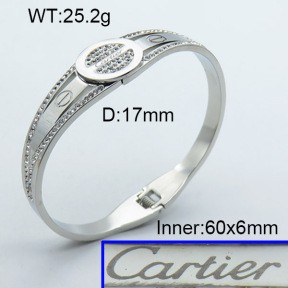 Stainless Steel Bangle PZ0135558vihb-008