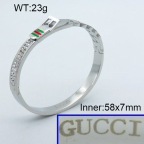 Stainless Steel Bangle PZ0135441vhov-008