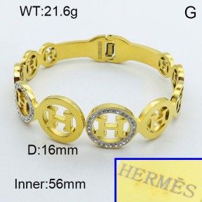 Stainless Steel Bangle PZ0135466vhov-008