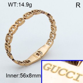 Stainless Steel Bangle PZ0135434vhnv-008