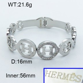 Stainless Steel Bangle PZ0135468vhmv-008