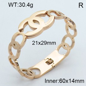 Stainless Steel Bangle PZ0135417ahpv-008