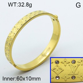 Stainless Steel Bangle PZ0135510aivb-008