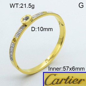 Stainless Steel Bangle PZ0135541aivb-008