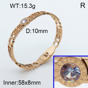 Stainless Steel Bangle PZ0135407vhov-008