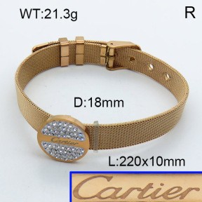 Stainless Steel Bangle PZ0135566ahlv-008