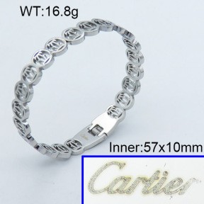 Stainless Steel Bangle PZ0135564ahlv-008