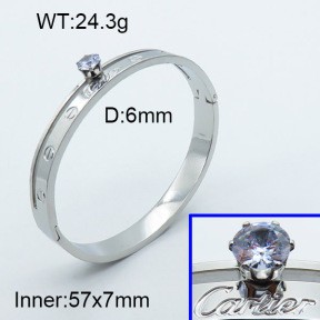 Stainless Steel Bangle PZ0135549ahlv-008