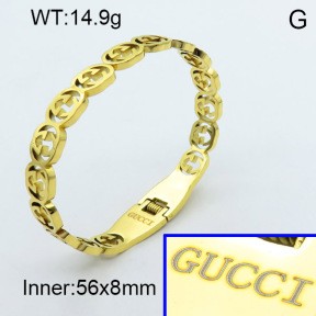 Stainless Steel Bangle PZ0135433vhnv-008