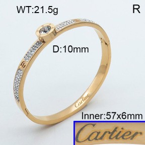 Stainless Steel Bangle PZ0135542aivb-008