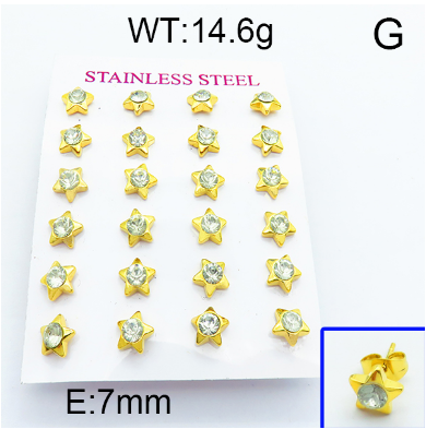 Stainless Steel 1 dozen Earring 1631248307(1)