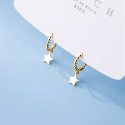 925 Silver Earring  G9520-18 (1)