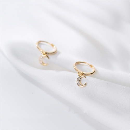 925 Silver Earring  G7560-14 (2)