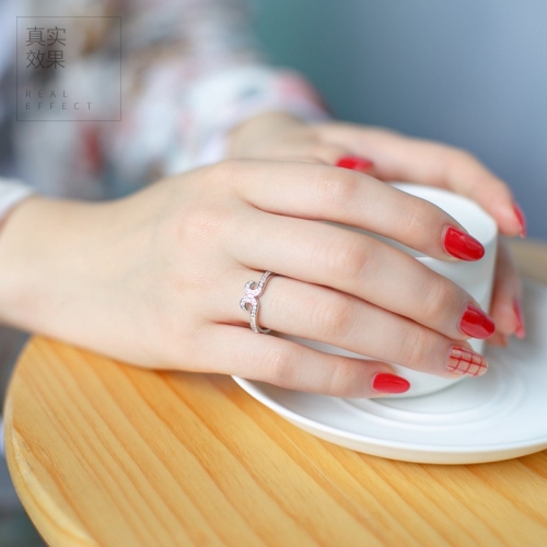 925 Silver Ring J1452-23