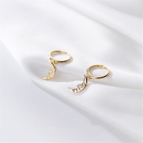 925 Silver Earring  G7620-15 (2)