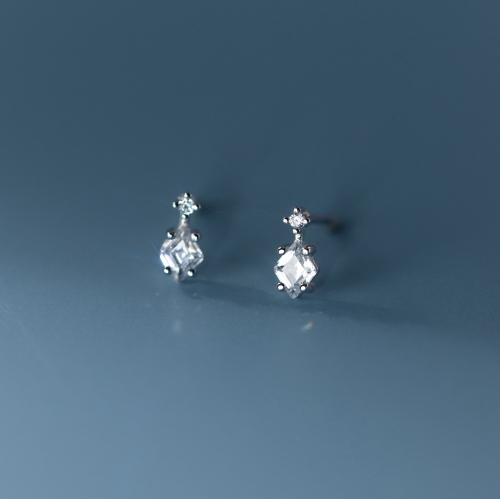 925 Silver Earring M04007-9