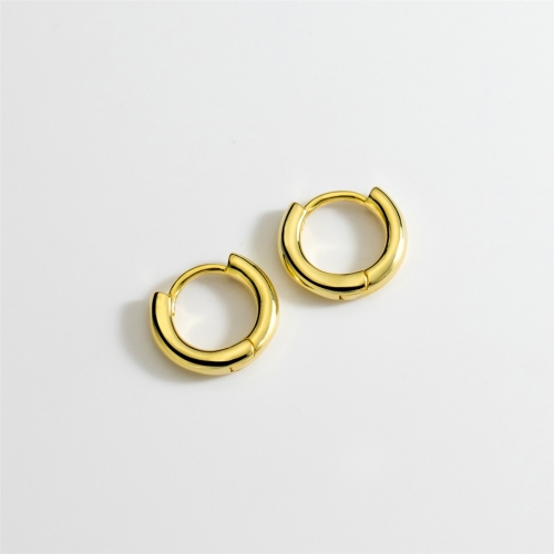 925 Silver Earring M01033-21 (1)