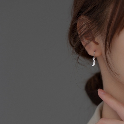 925 Silver Earring  G7620-15 (1)