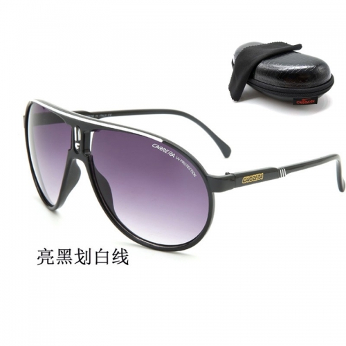 Sunglass with case Q220527-QCRC31 (1)